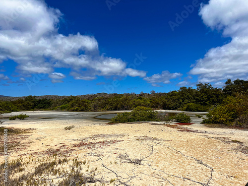 The hidden beauty of Playa el Garrapatero Beach on Santa Cruz Island on Galapagos Archipelago