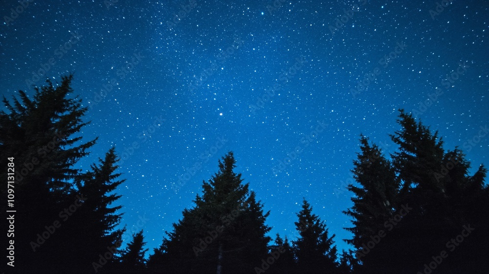 Naklejka premium Pine forest silhouettes against starry night sky. Dark evergreen trees frame deep blue cosmic view. Natural landscape for astronomy, camping and outdoor adventure background with space
