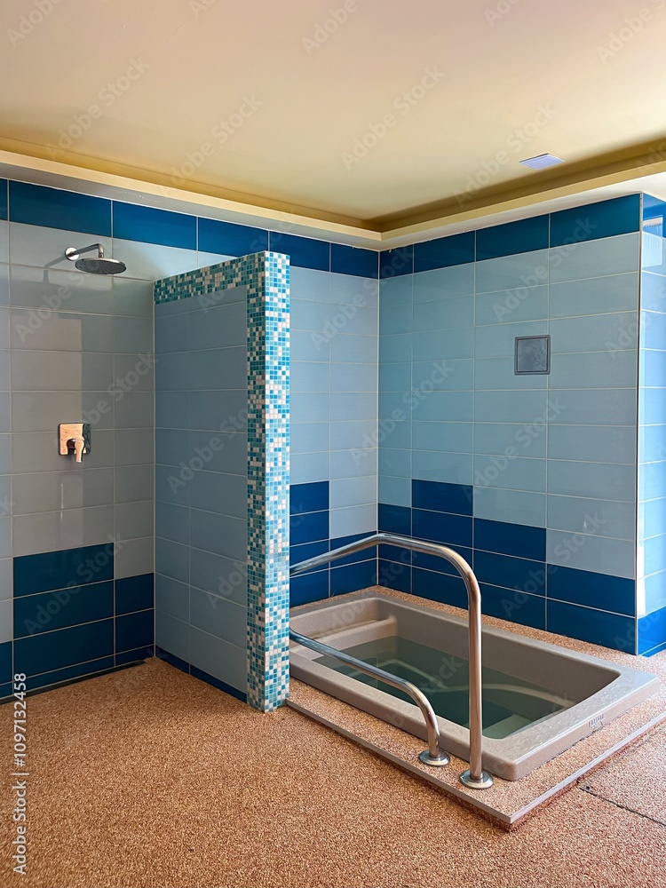 Cold plunge pool and shower in wellness