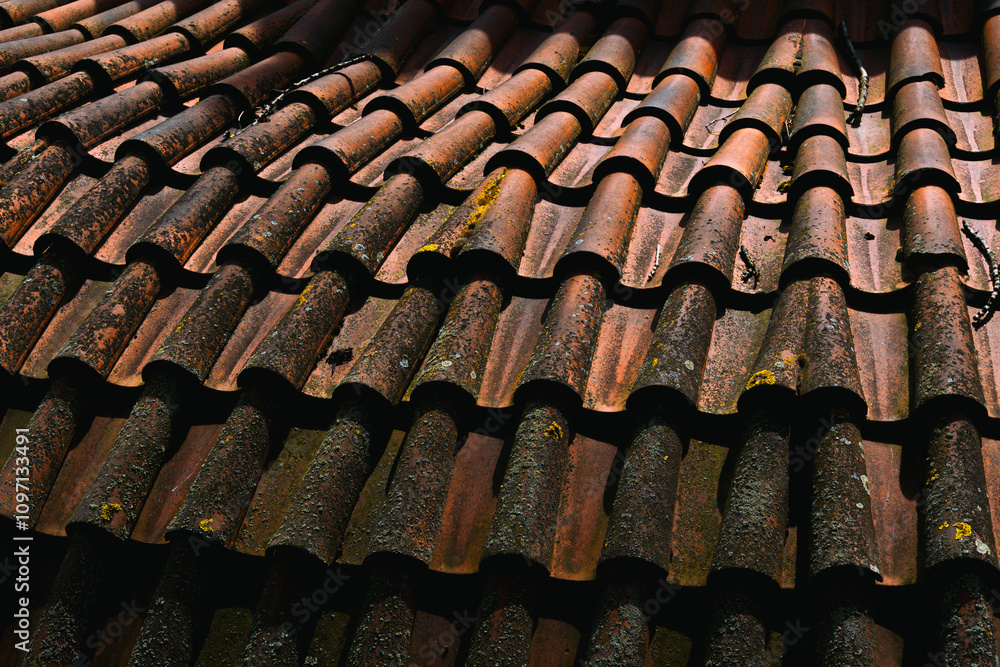Rustic Terracotta Roof Tiles of Malá Strana, Prague Rustic Terracotta Roof Tiles of Malá Strana, Prague