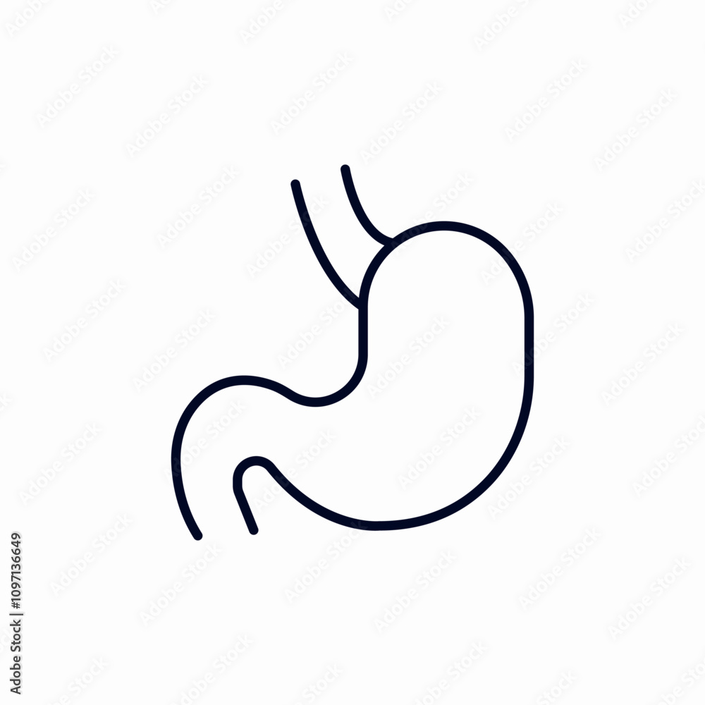 stomach organ icon sign vector stomach organ icon sign vector