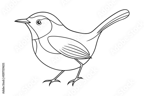 Elegant Line Drawing of a Wren Vector Illustration for Art and Design photo