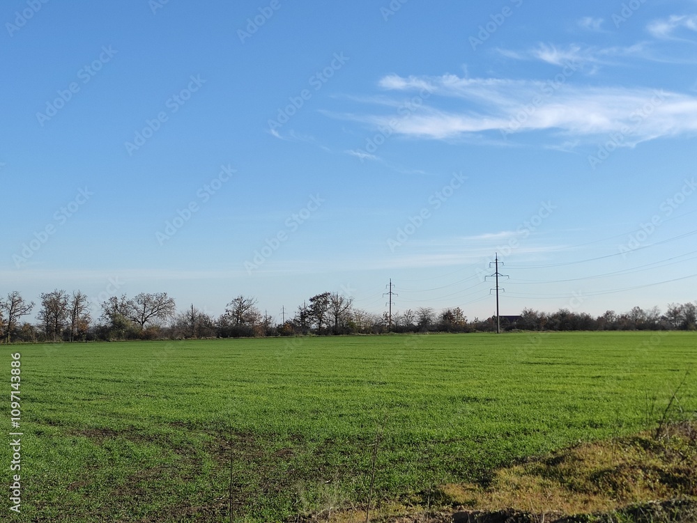 lines on a field, green landscape, blue sky, nature grass, spring lines on a field, green landscape, blue sky, nature grass, spring