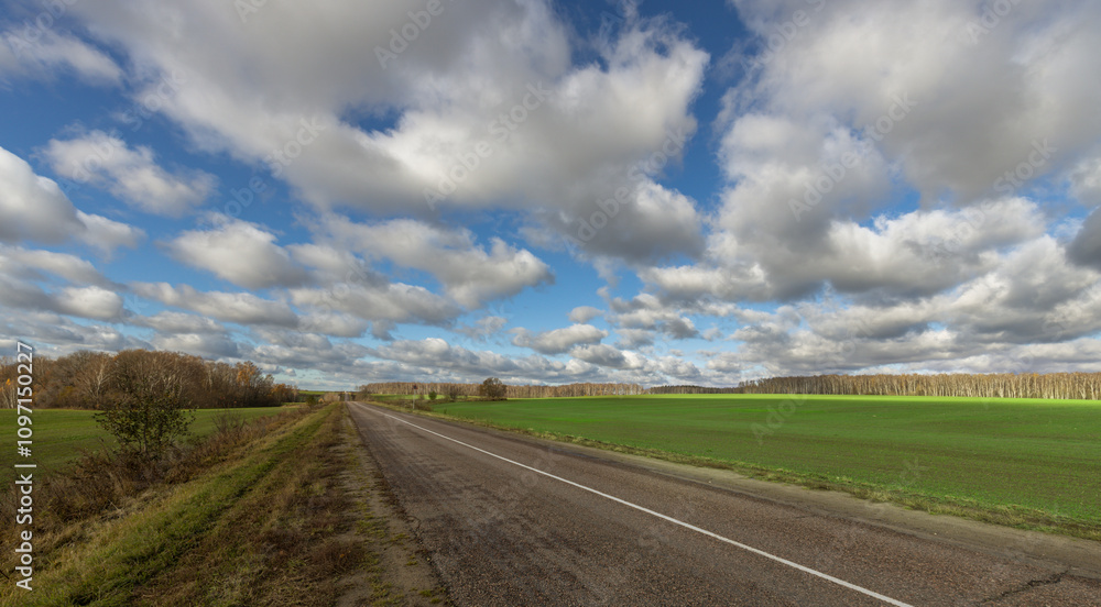 A road with a few trees in the background and a cloudy sky A road with a few trees in the background and a cloudy sky