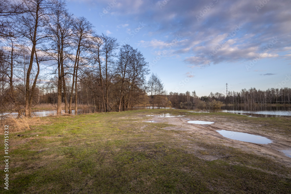 Field with a few trees and a body of water Field with a few trees and a body of water