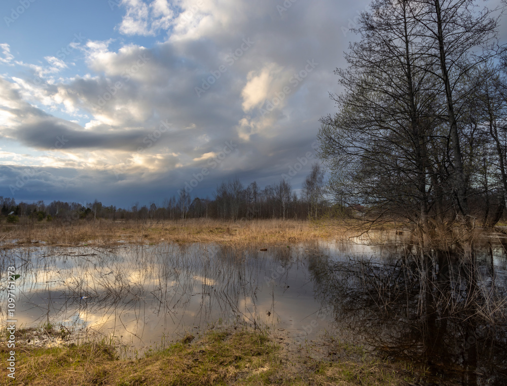 Field of grass with a body of water in the foreground Field of grass with a body of water in the foreground