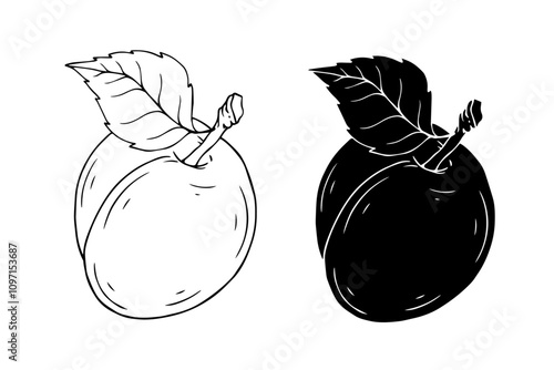 Line sketch, stamp, silhouette of plum fruits. Vector graphics.