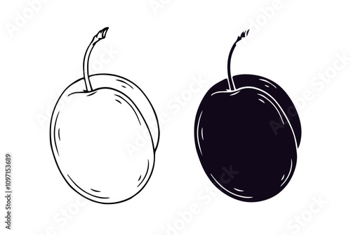 Line sketch, stamp, silhouette of plum fruits. Vector graphics.