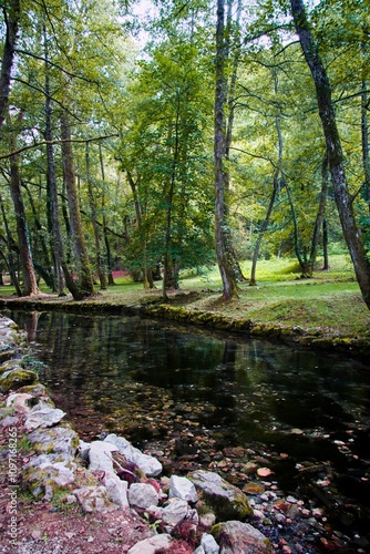 Vrelo Bosne Park in Bosnia - a brook  photo