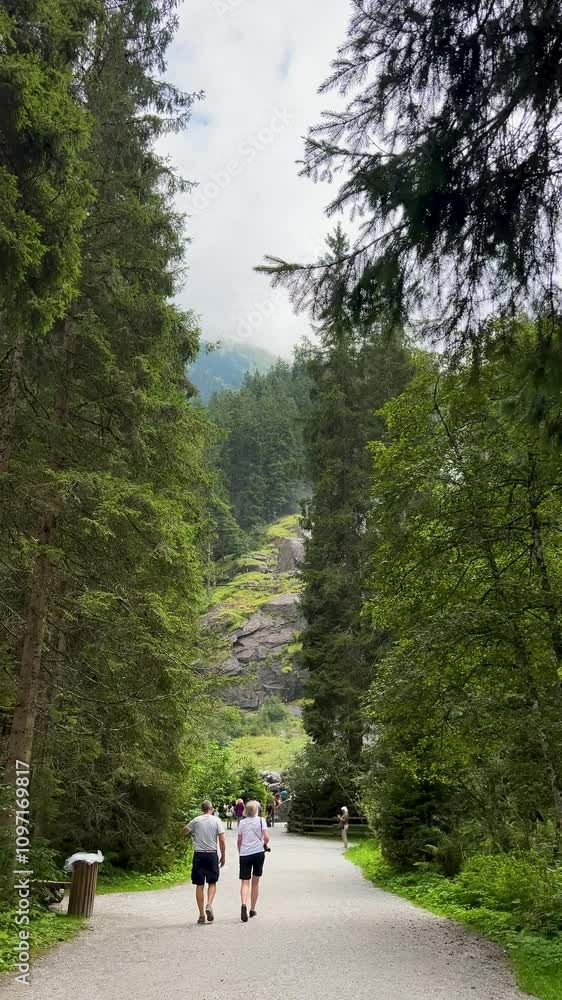 Indulge in a Serene Nature Walk Through Beautifully Lush Green Trails in the Great Outdoors Indulge in a Serene Nature Walk Through Beautifully Lush Green Trails in the Great Outdoors