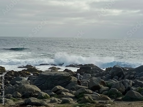waves crashing on rocks