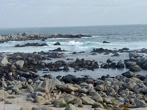 waves on the beach