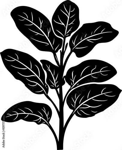 Black Silhouette of Leafy Plant