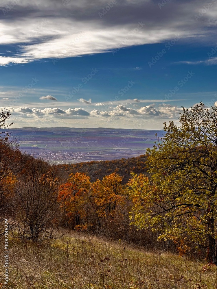 Fototapeta premium autumn landscape in the mountains