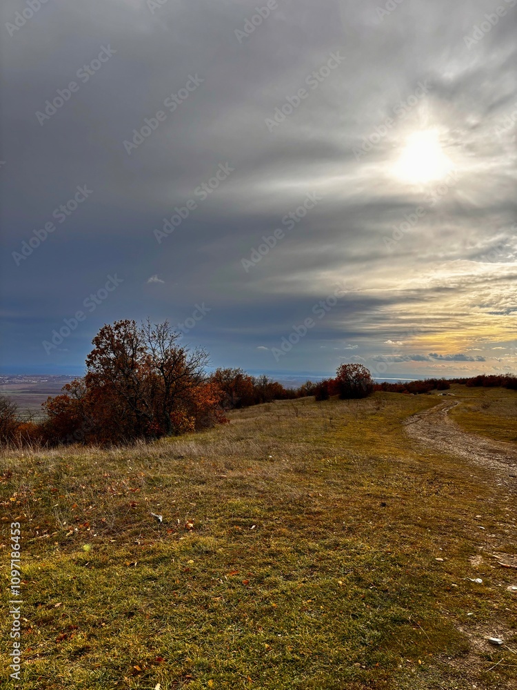 Fototapeta premium autumn in the mountain