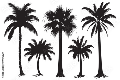 Palm tree silhouette set vector design