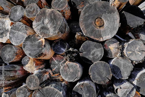 vintage old wood background with beautiful tree rings