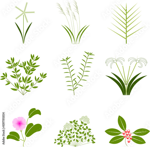 Beach and tropical vegetation 2