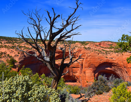 Monument Valley is a region of the Colorado Plateau characterized by a cluster of vast sandstone buttes above the valley floor. It is located on the Arizona-Utah state line, USA