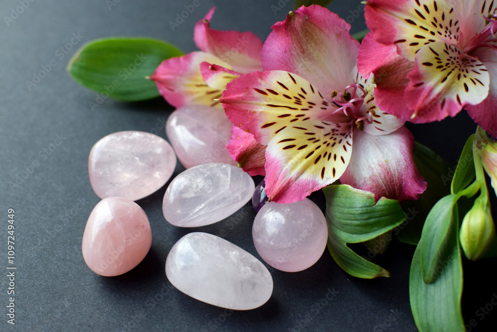 Rose quartz crystals and alstroemeria flowers on a gray background. Rose quartz crystals and alstroemeria flowers on a gray background.