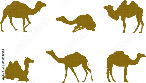 Vector sketch illustration silhouette design drawing of desert animal camel with hump for ride vehicle