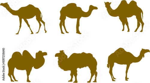 Vector sketch illustration silhouette design drawing of desert animal camel with hump