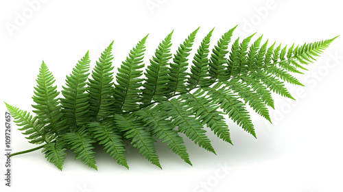 Wallpaper Mural Vibrant Green Fern 3D Render Torontodigital.ca