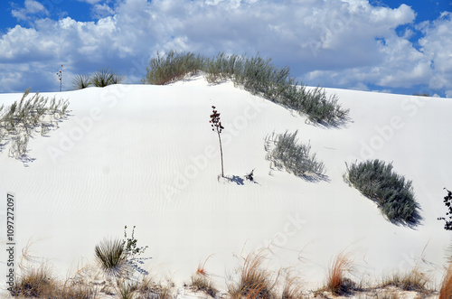 White Sands National Monument U.S located in the state of New Mexico the field of white sand dunes composed of gypsum crystals. The gypsum dune field is the largest of its kind on Earth. photo