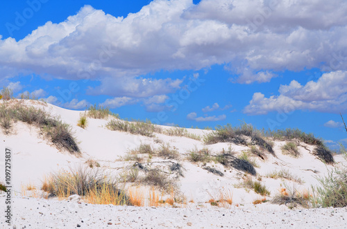 White Sands National Monument U.S located in the state of New Mexico the field of white sand dunes composed of gypsum crystals. The gypsum dune field is the largest of its kind on Earth. photo