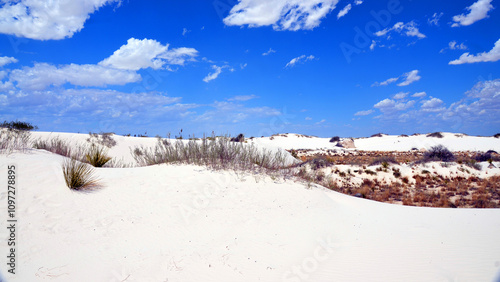 White Sands National Monument U.S located in the state of New Mexico the field of white sand dunes composed of gypsum crystals. The gypsum dune field is the largest of its kind on Earth.