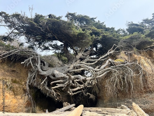 Pacific Coast - Ruby Beach