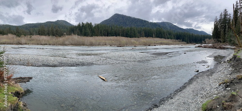 Washington Hoh Rainforest
