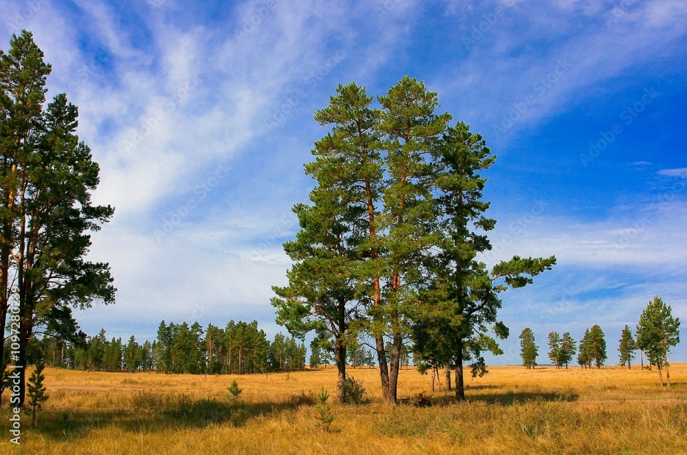 Beautiful landscape park.Torism, hobby. Beautiful landscape park.Torism, hobby.
