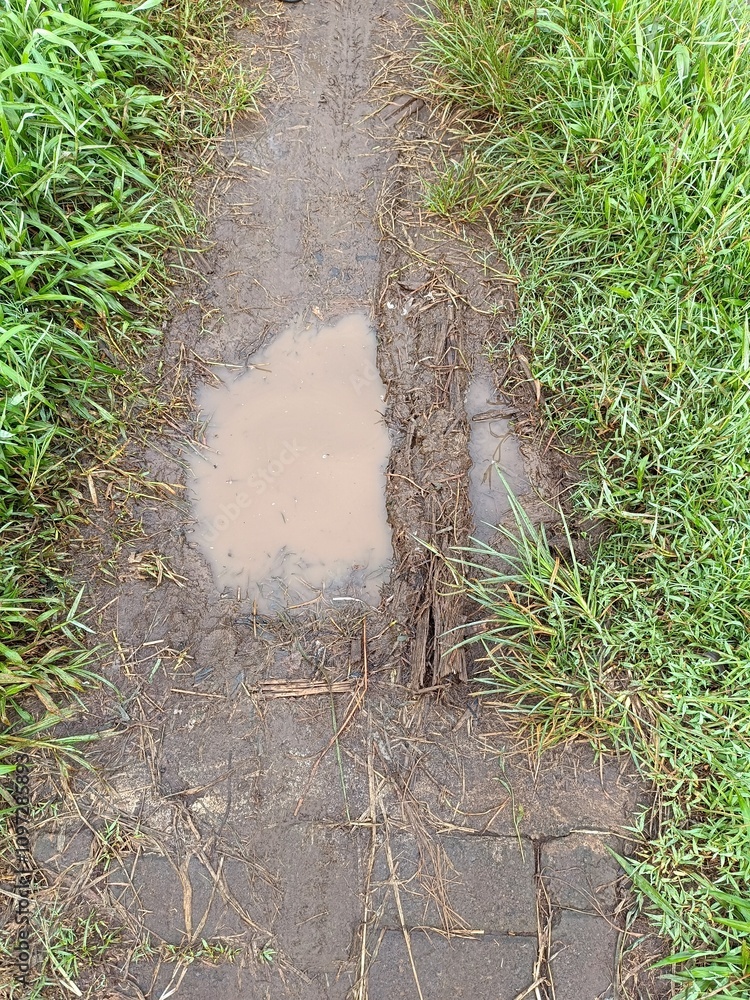 Obraz premium A muddy footpath with a small puddle and a wooden plank partially submerged in the mud