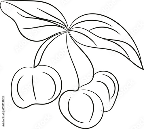 vector illustration of a flower