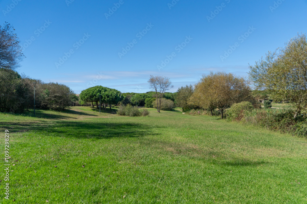 Wide angle view of Porto city park, Portugal, on a bright sunny day in fall with blue sky. Wide angle view of Porto city park, Portugal, on a bright sunny day in fall with blue sky.