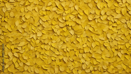 yellow leaves background