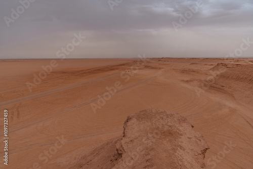 A rare sight in the desert as storm clouds approach photo