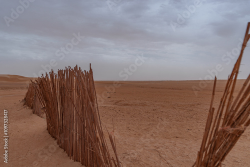 A rare sight in the desert as storm clouds approach photo