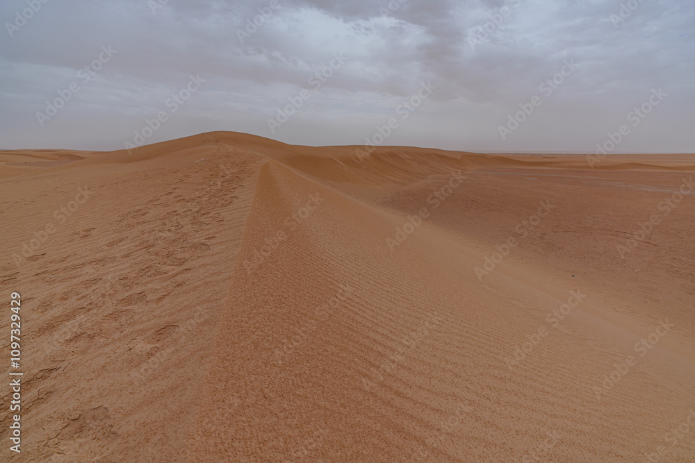 Dunes in the desert creating beautiful landscapes Dunes in the desert creating beautiful landscapes
