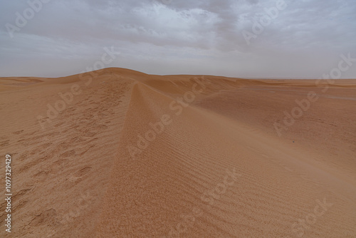 Dunes in the desert creating beautiful landscapes