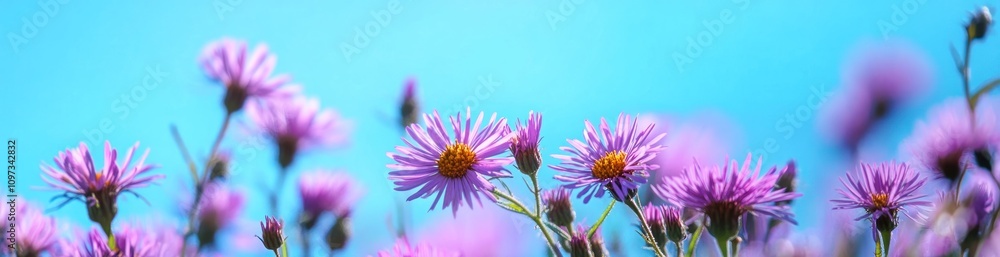 A vibrant display of purple flowers against a bright blue sky, symbolizing nature's beauty. A vibrant display of purple flowers against a bright blue sky, symbolizing nature's beauty.