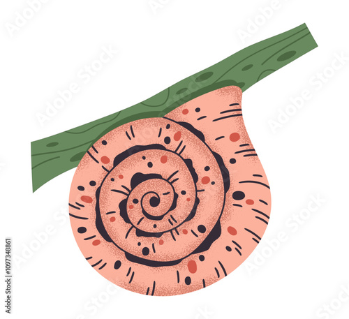Cute snail. Cartoon slow gastropod on plant stem, little slug inside spiral snail shell flat vector illustration. Colorful snail