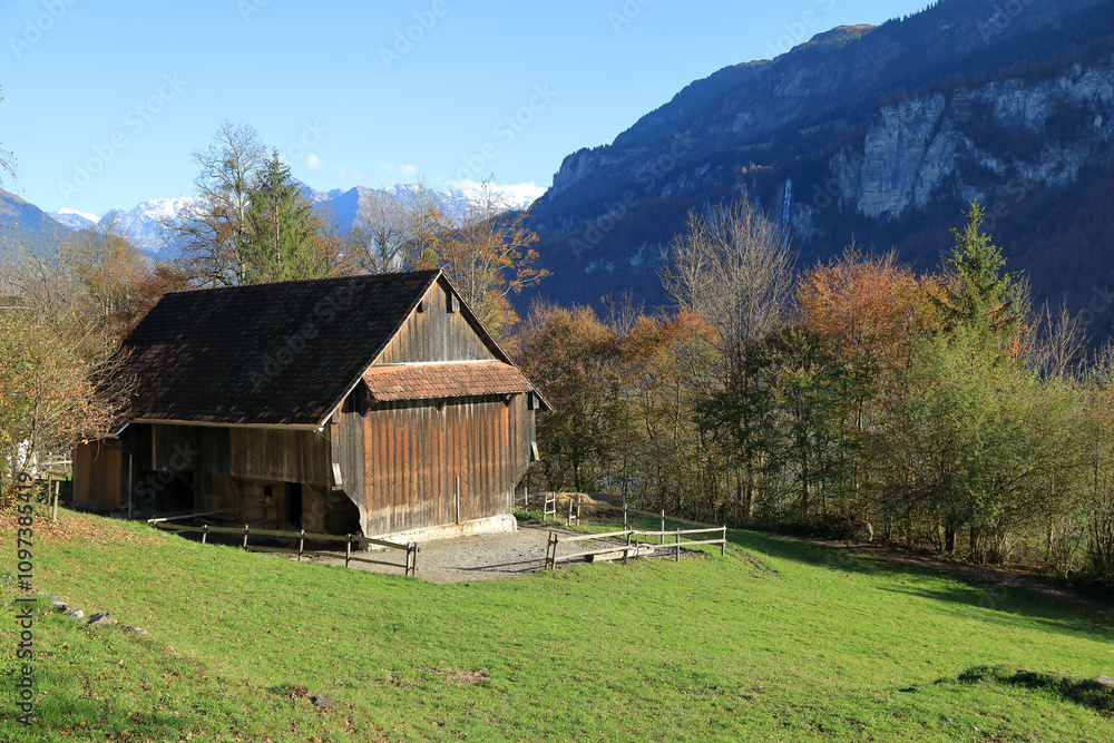 Obraz premium Old traditional wooden house in open air museum Ballenberg in autumn. View of the Alps. Municipality of Hofstetten bei Brienz, canton of Bern, Switzerland.
