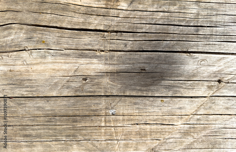 Textura de madera Textura de madera