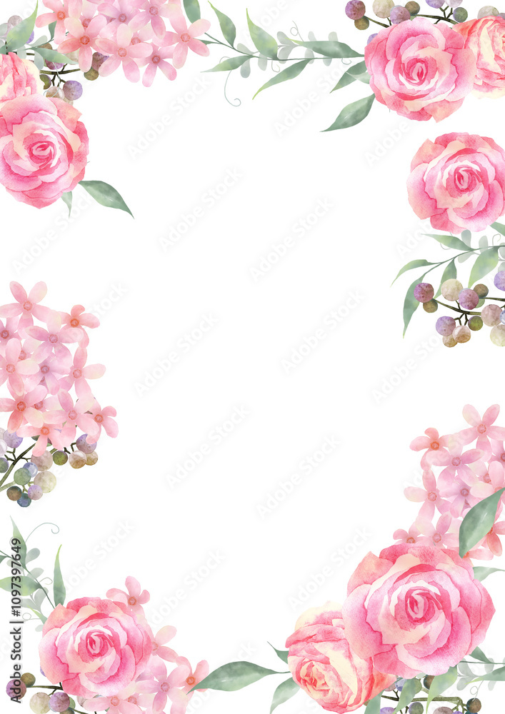 水彩で描いたピンクの薔薇のフレーム 白背景 水彩で描いたピンクの薔薇のフレーム 白背景