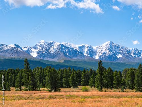 Majestic snow-capped mountains tower over serene green forest under bright blue sky