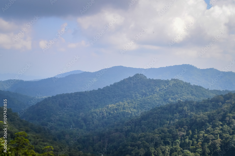 Mountain and tree in Northern Thailand,South East Asia Mountain and tree in Northern Thailand,South East Asia