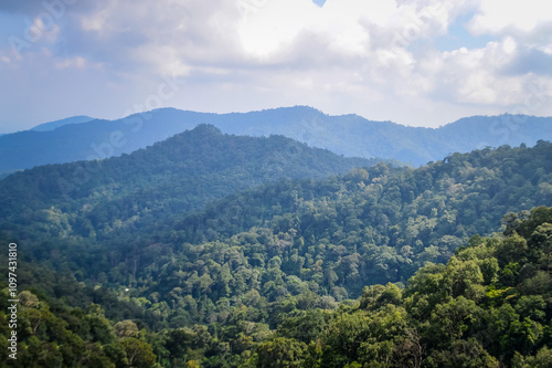 Mountain and tree in Northern Thailand,South East Asia