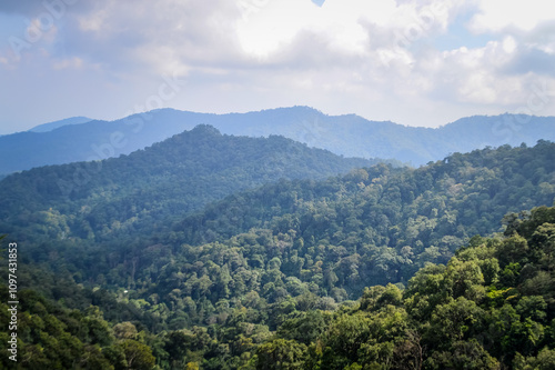 Mountain and tree in Northern Thailand,South East Asia